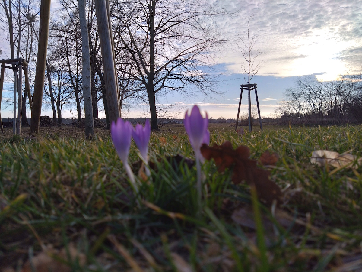 AUSZEIT – Tages Retreat – Bild 6